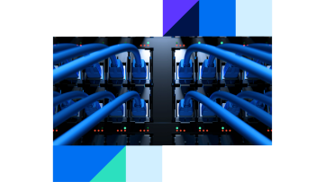 Organized blue network cables connected in a data center server infrastructure.