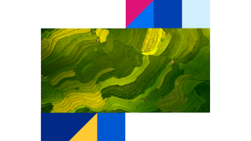 Aerial view of terraced agricultural fields with curved contour lines in varying shades of green and yellow, framed by geometric shapes in magenta, blue, and yellow at the top and bottom of the image.