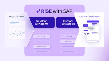 RISE with SAP 概览图像