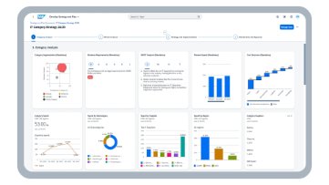  包含 SAP Ariba Category Management 中品类分析功能的战略计划文档