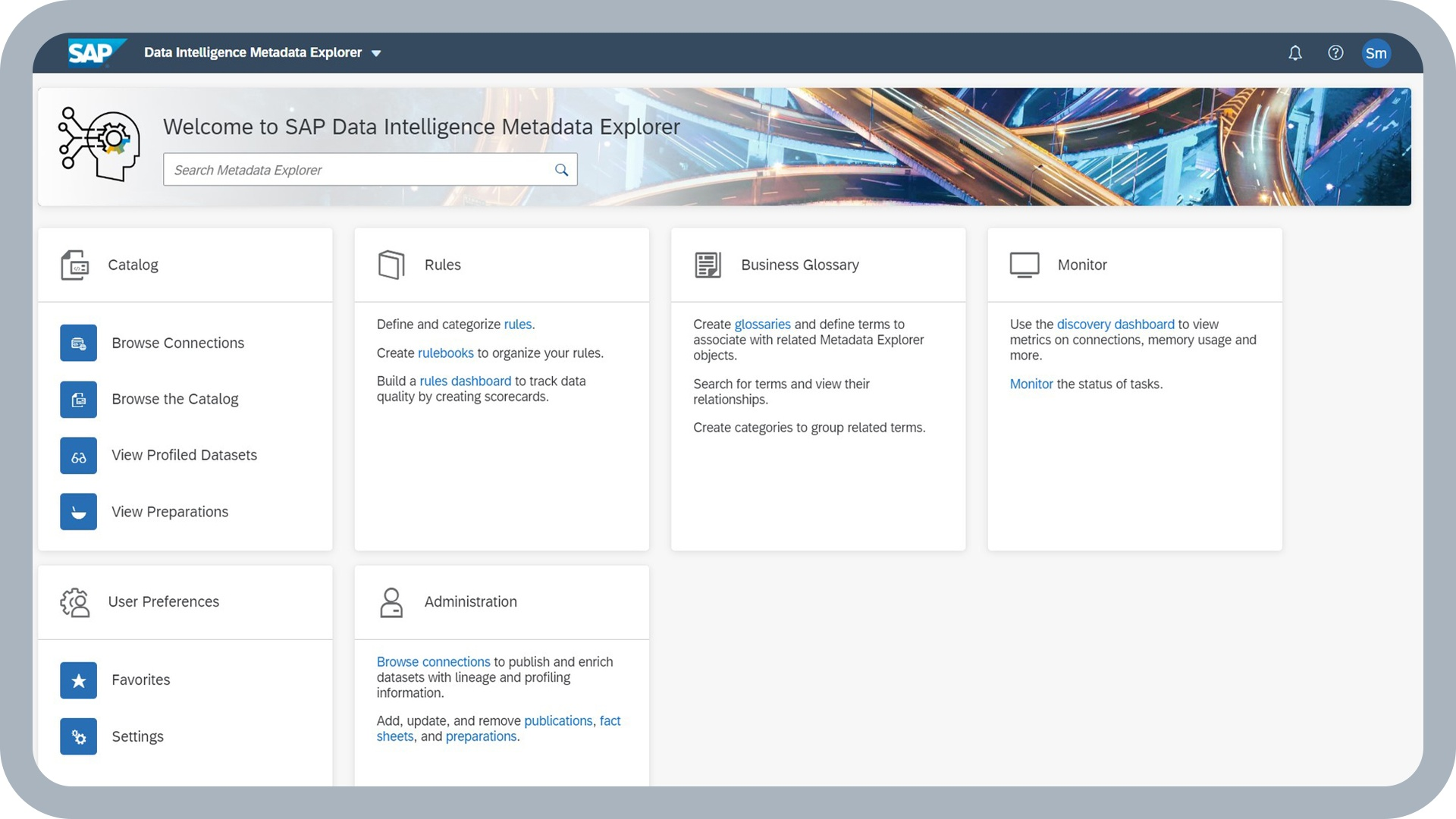 显示器上显示 SAP Data Intelligence 软件的 AI 功能