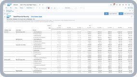 SAP Enterprise Planning 中的预算视图