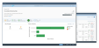 截屏：电脑显示器上显示 SAP Master Data Governance 中生成的流程分析数据