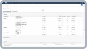 SAP Responsible Design and Production 技术