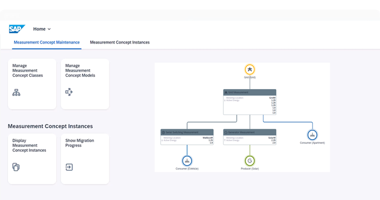 SAP Utilities Core foundation instance representation.