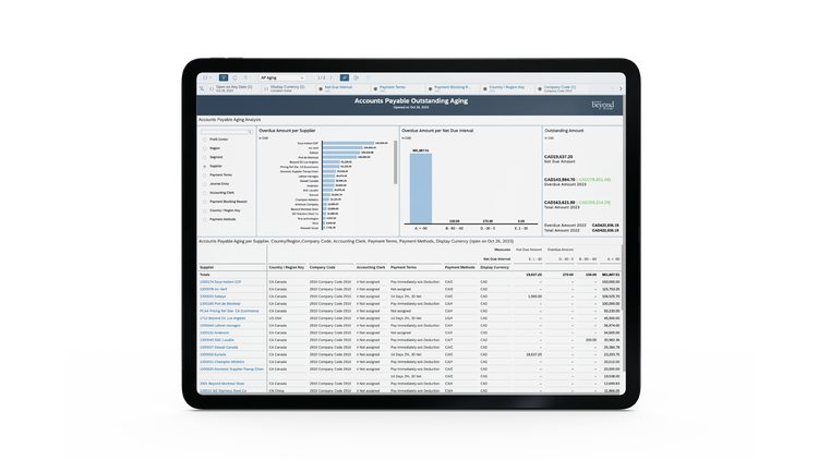 Beyond Technologies Consulting Inc. | Beyond's Analytics Accelerator ...